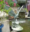 Fountains